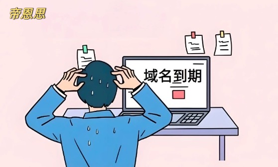 域名过期,过去域名