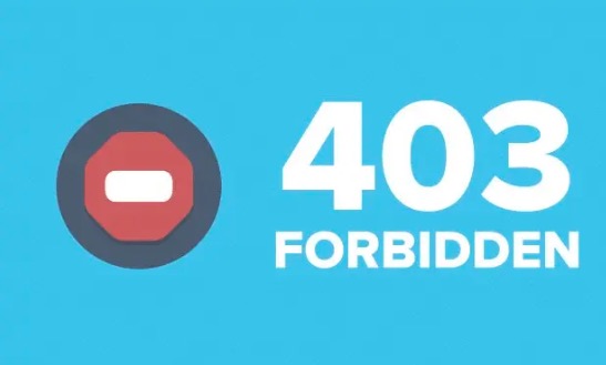403错误